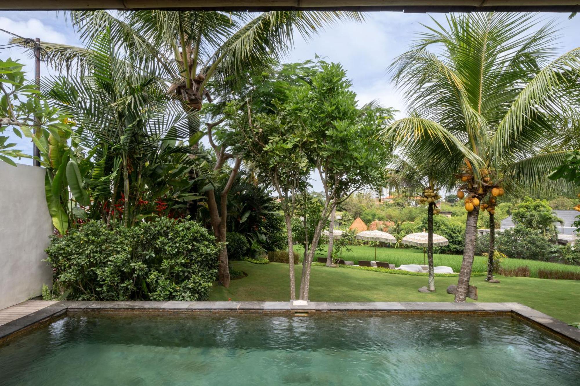 Premadhan Cottage Canggu Extérieur photo